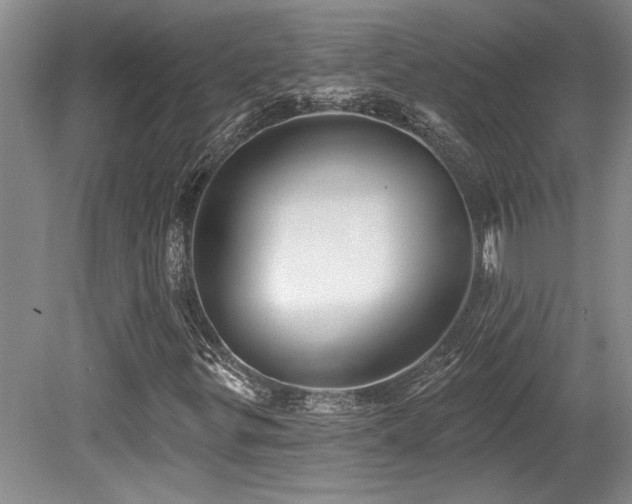X0000079331299200611171138