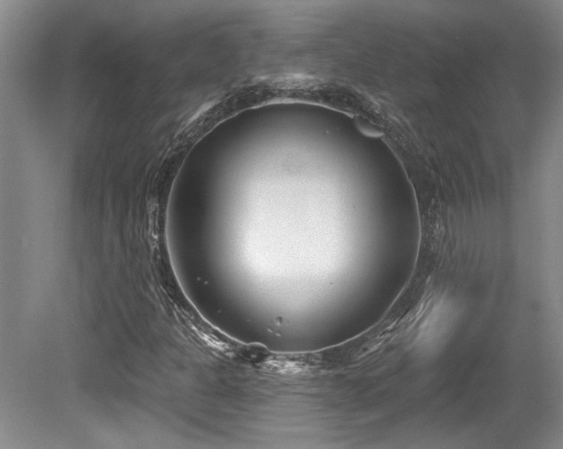 X0000079331301200611171138