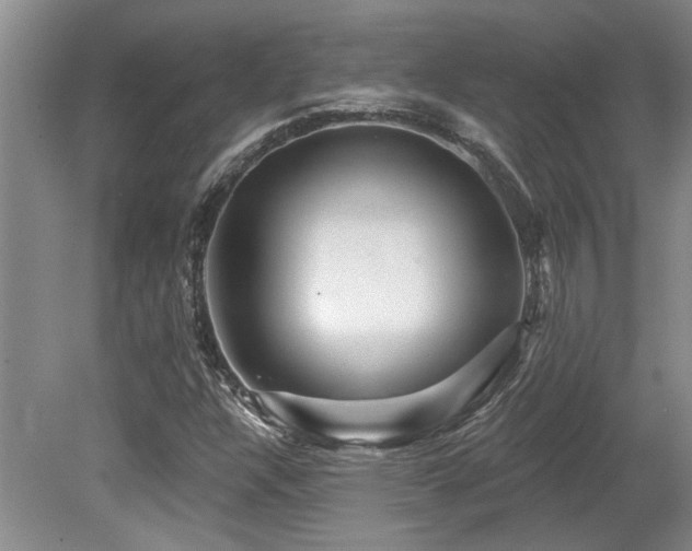 X0000079331304200611171138