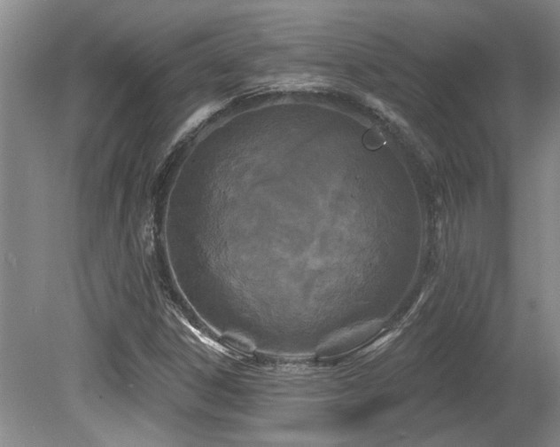 X0000079331306200611171138