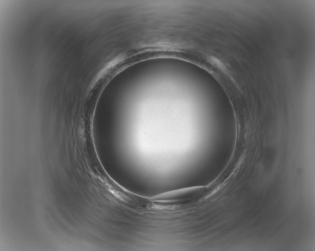 X0000079331307200611171138