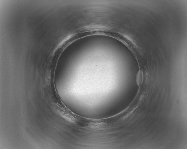 X0000079331309200611171139