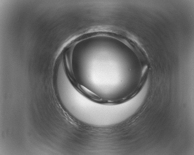 X0000079331312200611171139