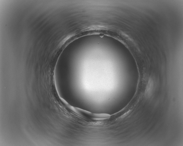 X0000079331313200611171139