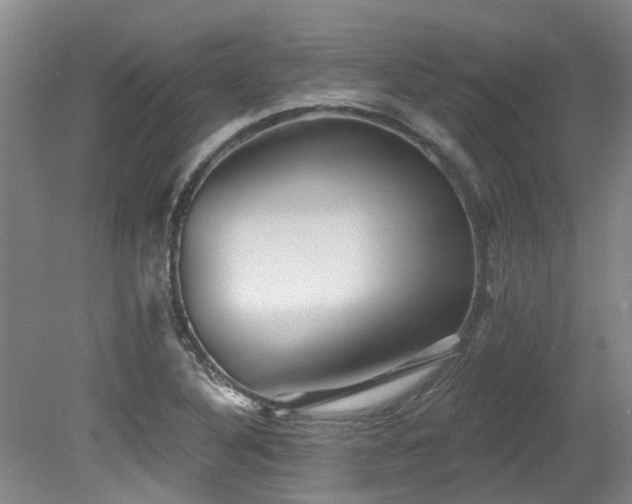 X0000079331316200611171139