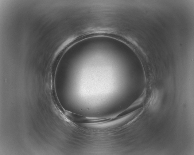 X0000079331317200611171139