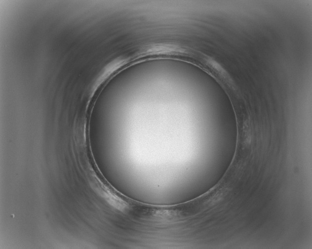 X0000079331322200611171139