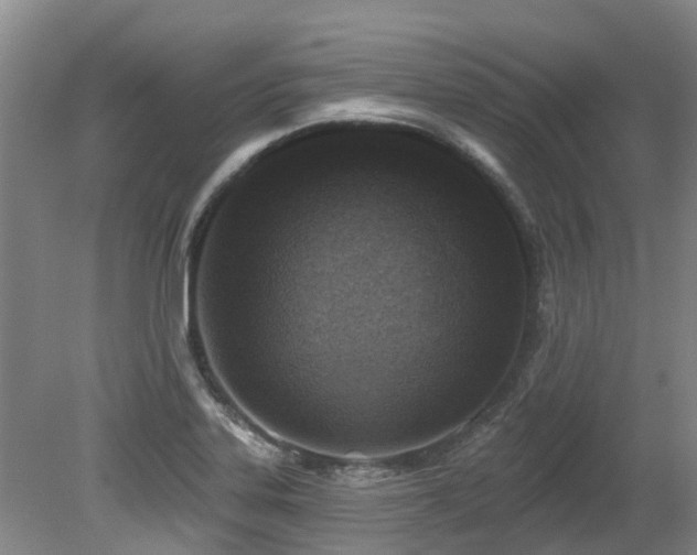 X0000079331323200611171139
