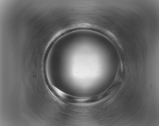 X0000079331326200611171139