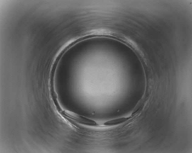 X0000079331331200611171139