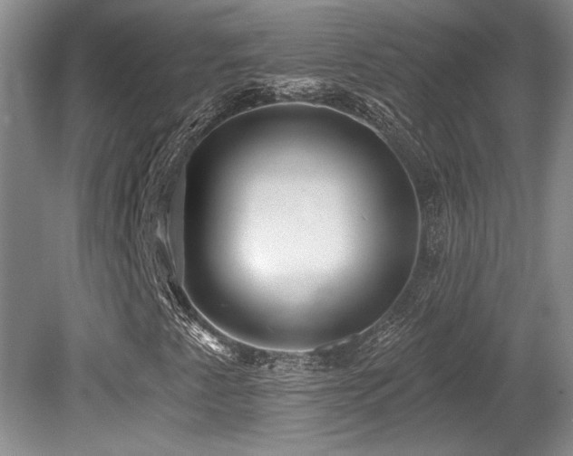 X0000079331345200611171138