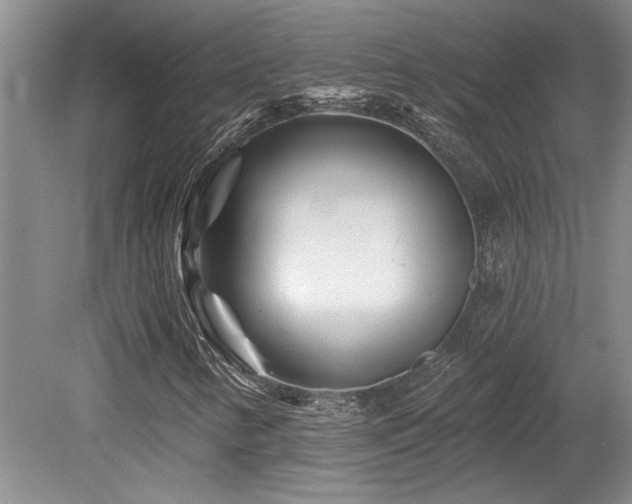 X0000079331346200611171138