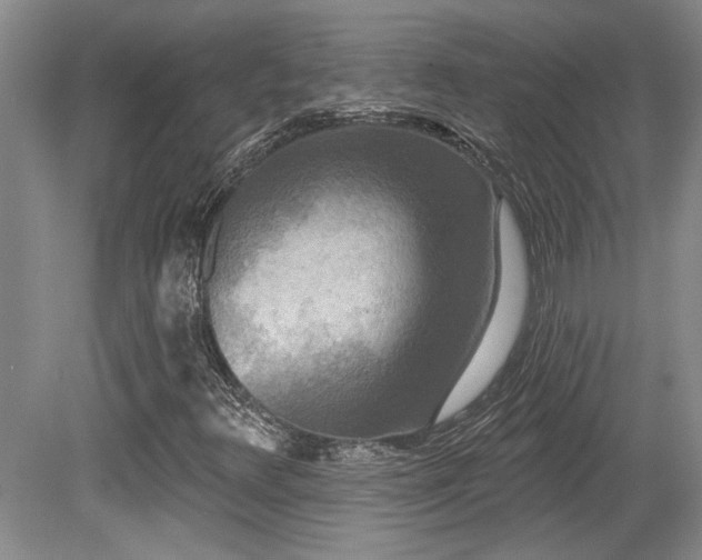 X0000079331348200611171138