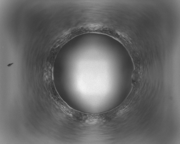 X0000079331349200611171138