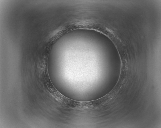 X0000079331350200611171138