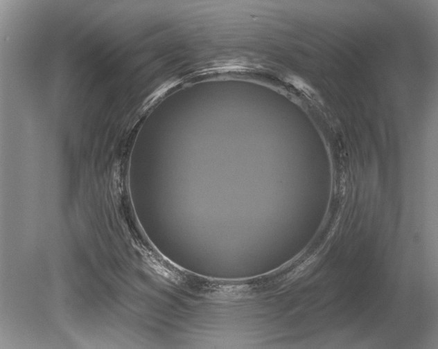X0000079331353200611171138