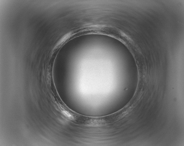 X0000079331354200611171138