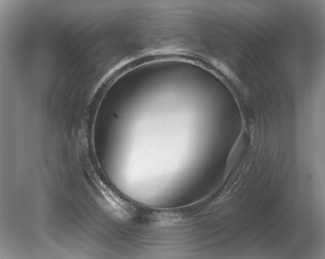 X0000079331356200611171138