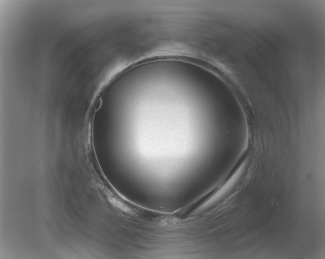 X0000079331366200611171138