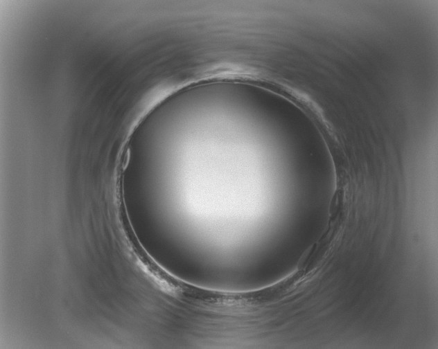 X0000079331375200611171138