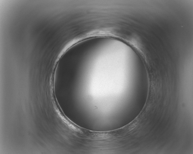 X0000079331382200611171138
