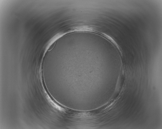 X0000079331387200611171138
