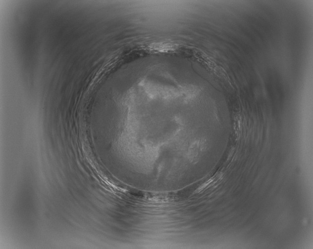 X0000079331393200611171137