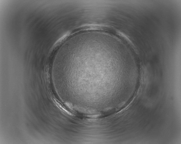 X0000079331403200611171137