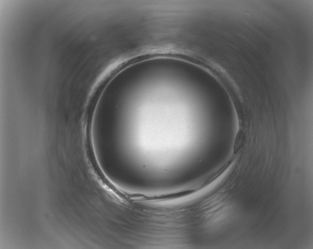 X0000079331416200611171137
