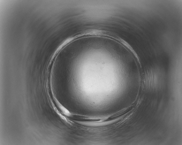 X0000079331437200611171137