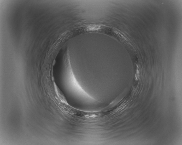 X0000079331441200611171137
