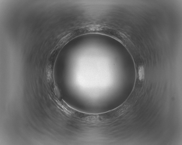 X0000079331444200611171137