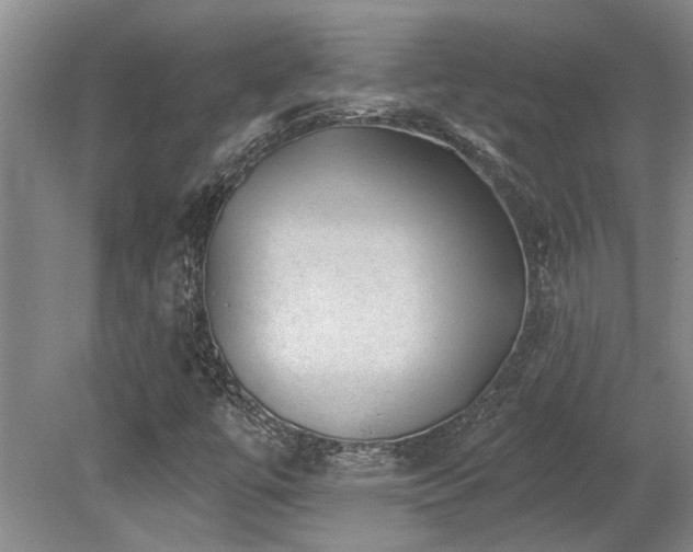 X0000079331447200611171137