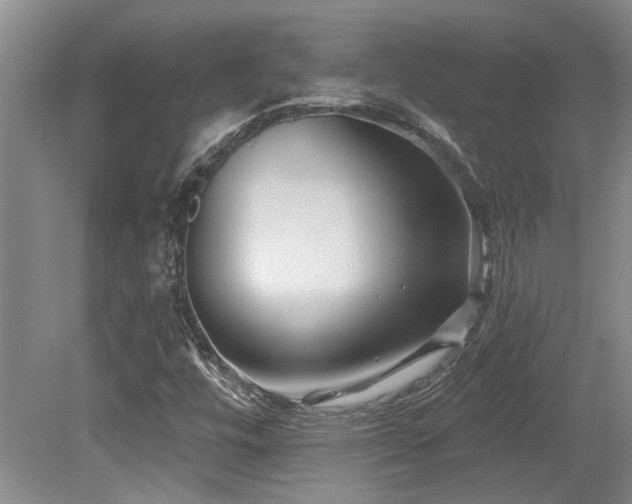 X0000079331448200611171137
