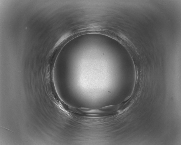 X0000079331450200611171137