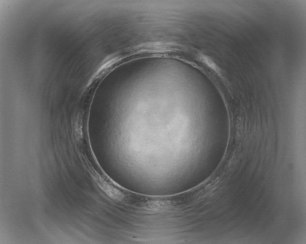 X0000079331451200611171136