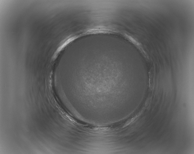 X0000079331453200611171136