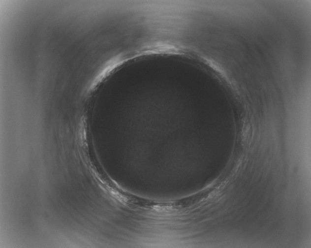 X0000079331455200611171136