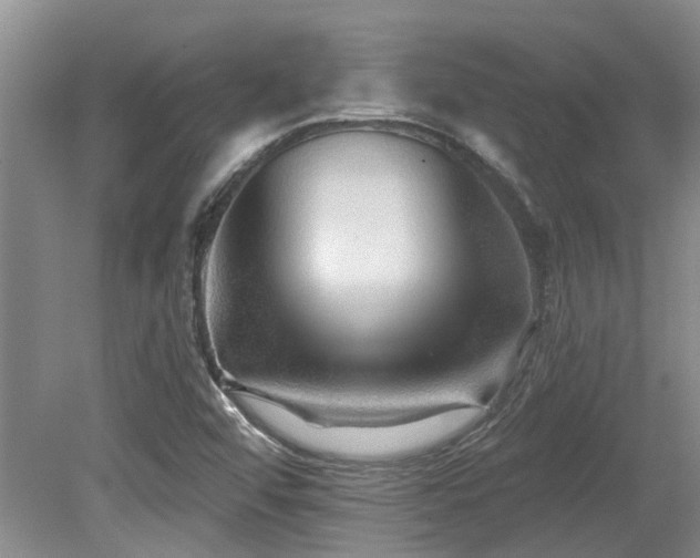 X0000079331456200611171136