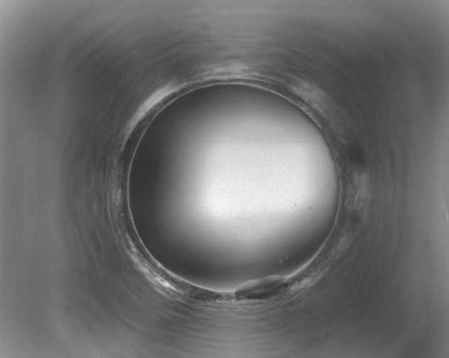 X0000079331458200611171136
