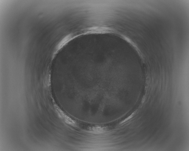 X0000079331459200611171136