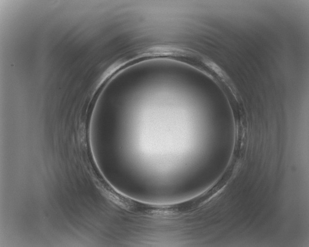 X0000079331465200611171136