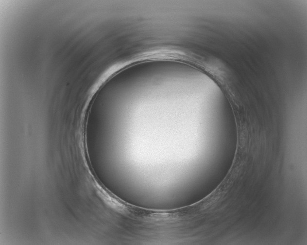 X0000079331478200611171136