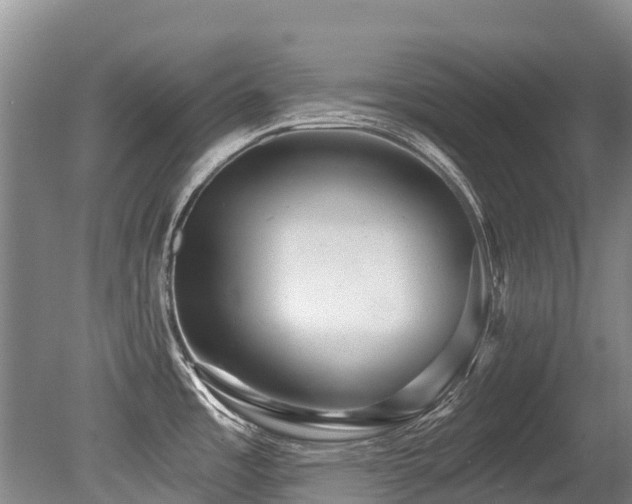 X0000079331485200611171136
