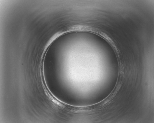 X0000079331486200611171136