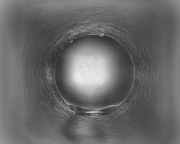X0000079331490200611171135