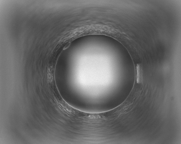 X0000079331491200611171135