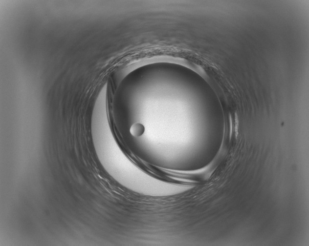 X0000079331492200611171135