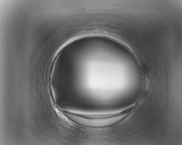 X0000079331534200611171136