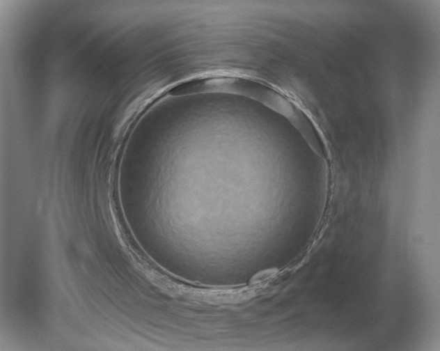 X0000079330001200611251843